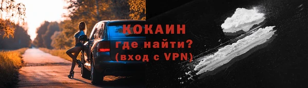 спиды Лагань