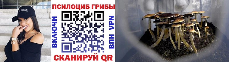 Галлюциногенные грибы Cubensis  Темрюк 