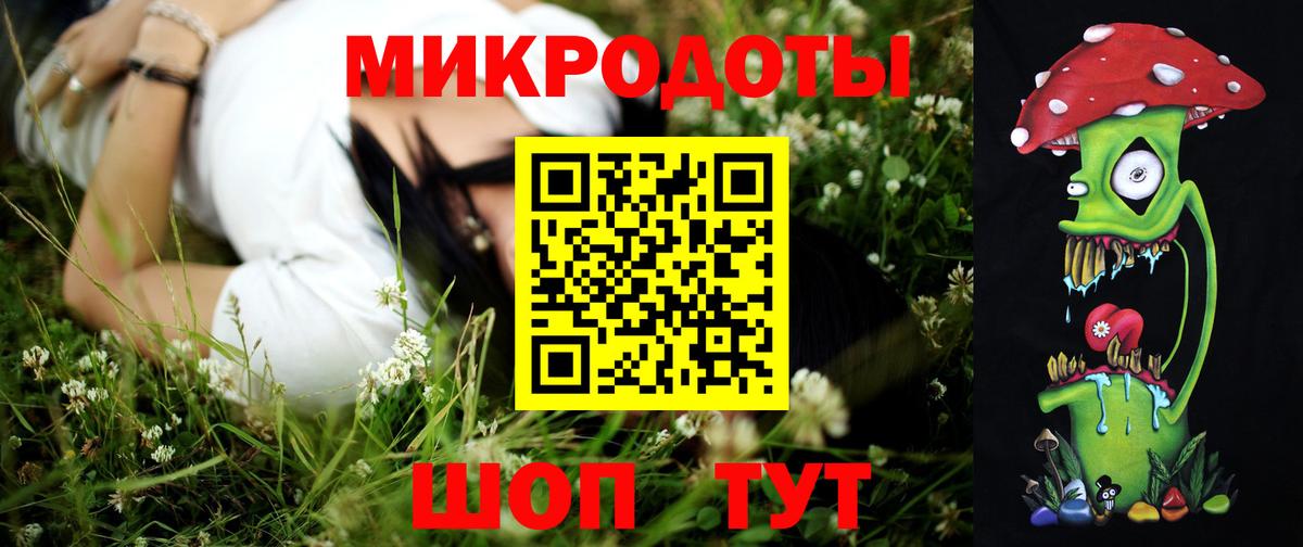 Галлюциногенные грибы Psilocybine cubensis  Темрюк 